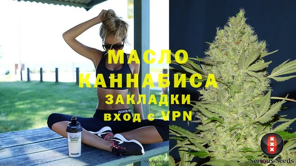 индика Абаза