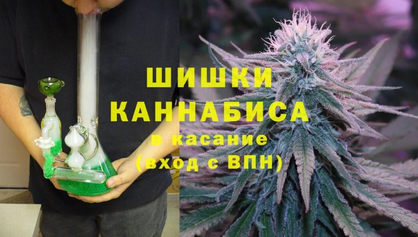 индика Абаза