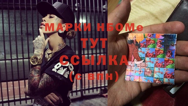 индика Абаза
