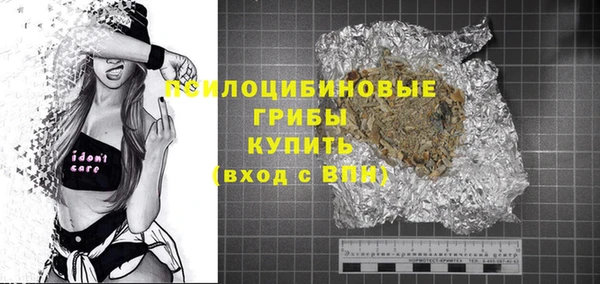 молекула духа Алексеевка