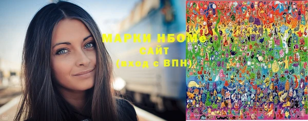 индика Абаза
