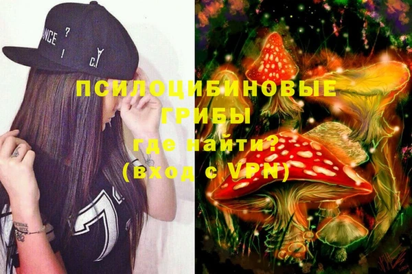 дживик Алзамай