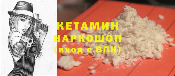 индика Абаза