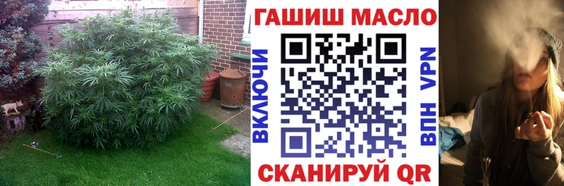 дарнет шоп  Мыски  Дистиллят ТГК концентрат 